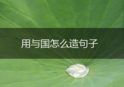 用与国怎么造句子