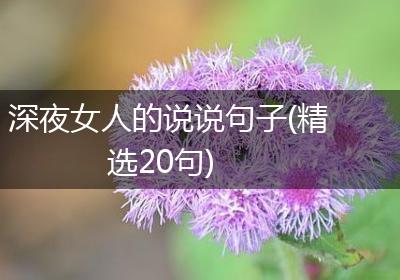 深夜女人的说说句子(精选20句)