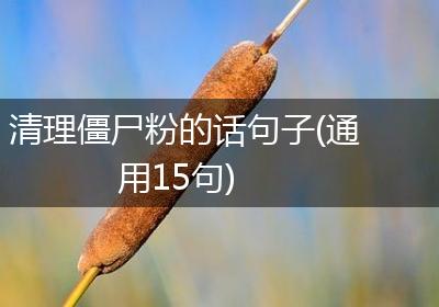 清理僵尸粉的话句子(通用15句)