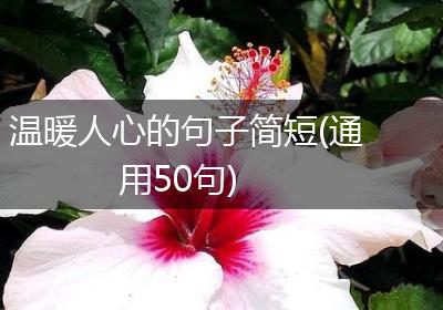 温暖人心的句子简短(通用50句)