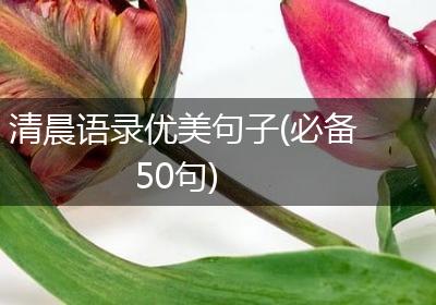 清晨语录优美句子(必备50句)