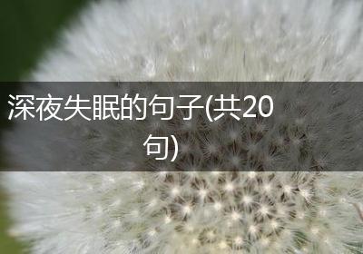 深夜失眠的句子(共20句)