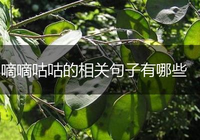 嘀嘀咕咕的相关句子有哪些