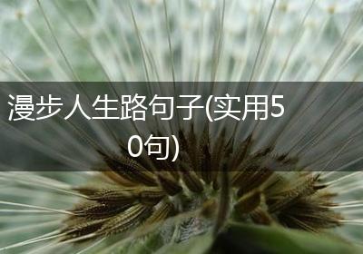 漫步人生路句子(实用50句)