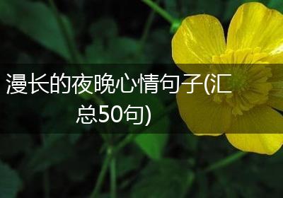 漫长的夜晚心情句子(汇总50句)