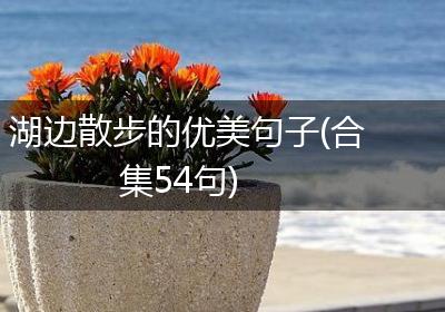 湖边散步的优美句子(合集54句)