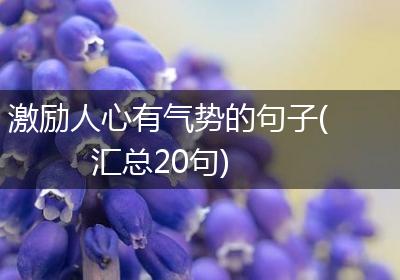 激励人心有气势的句子(汇总20句)