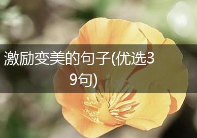 激励变美的句子(优选39句)