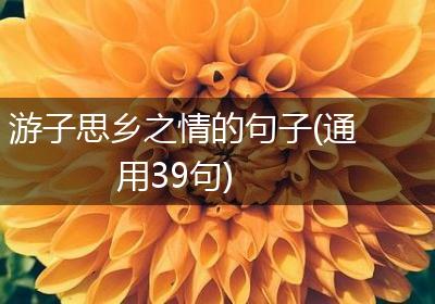 游子思乡之情的句子(通用39句)