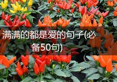 满满的都是爱的句子(必备50句)