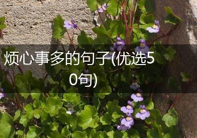 烦心事多的句子(优选50句)