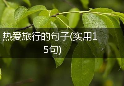 热爱旅行的句子(实用15句)