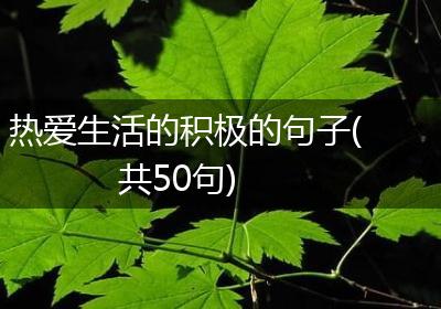 热爱生活的积极的句子(共50句)