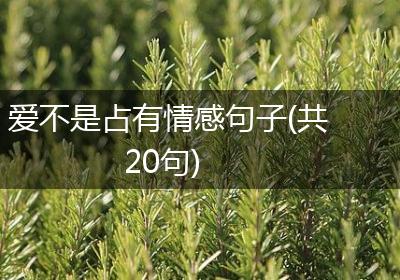 爱不是占有情感句子(共20句)