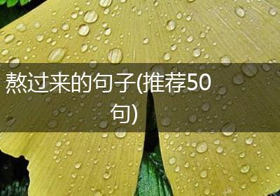 熬过来的句子(推荐50句)
