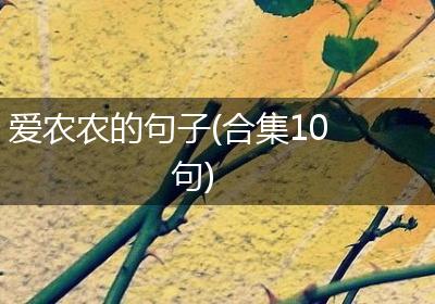 爱农农的句子(合集10句)