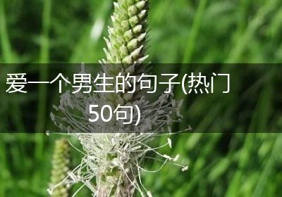 爱一个男生的句子(热门50句)