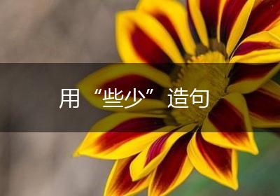 用“些少”造句