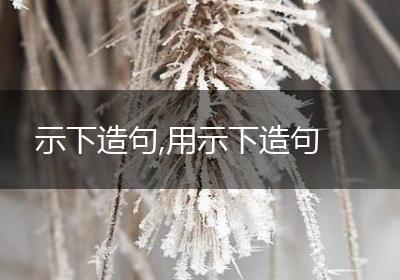 示下造句,用示下造句