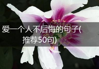 爱一个人不后悔的句子(推荐50句)