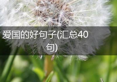 爱国的好句子(汇总40句)