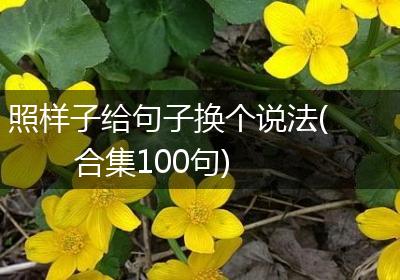 照样子给句子换个说法(合集100句)