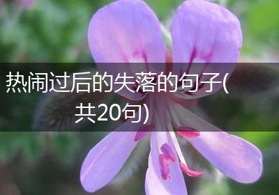 热闹过后的失落的句子(共20句)