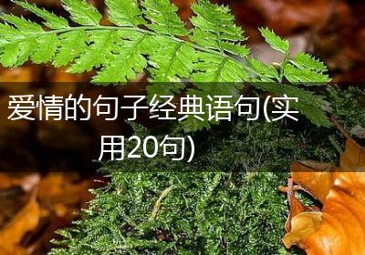 爱情的句子经典语句(实用20句)