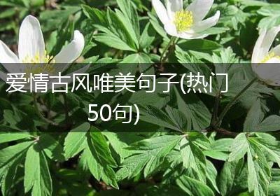 爱情古风唯美句子(热门50句)