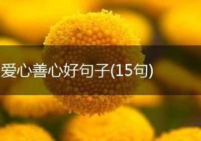 爱心善心好句子(15句)