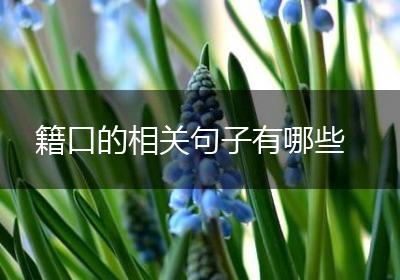 籍口的相关句子有哪些