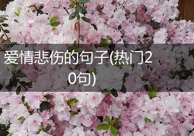 爱情悲伤的句子(热门20句)