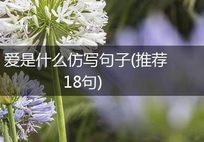 爱是什么仿写句子(推荐18句)