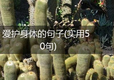 爱护身体的句子(实用50句)