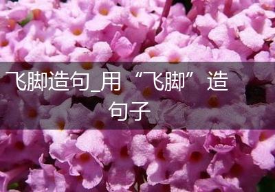 飞脚造句_用“飞脚”造句子