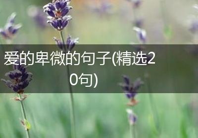 爱的卑微的句子(精选20句)