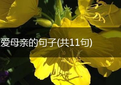 爱母亲的句子(共11句)