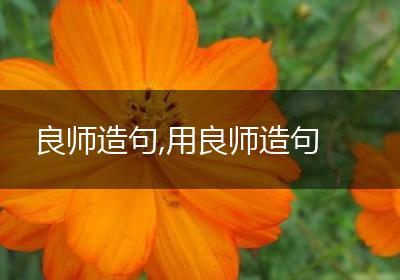 良师造句,用良师造句