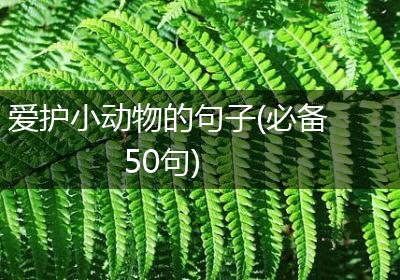 爱护小动物的句子(必备50句)