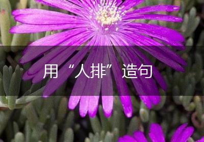 用“人排”造句