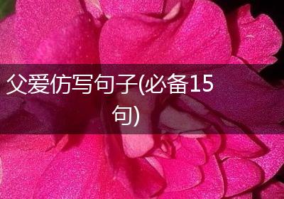 父爱仿写句子(必备15句)