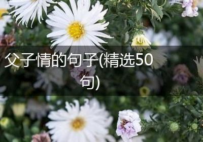 父子情的句子(精选50句)