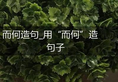 而何造句_用“而何”造句子