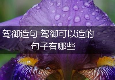 驾御造句 驾御可以造的句子有哪些