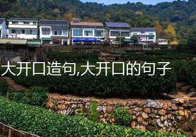大开口造句,大开口的句子