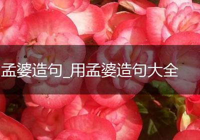 孟婆造句_用孟婆造句大全
