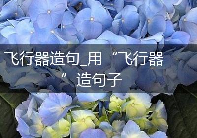 飞行器造句_用“飞行器”造句子