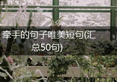 牵手的句子唯美短句(汇总50句)