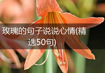 玫瑰的句子说说心情(精选50句)