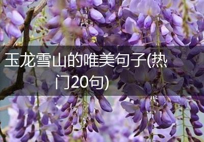 玉龙雪山的唯美句子(热门20句)